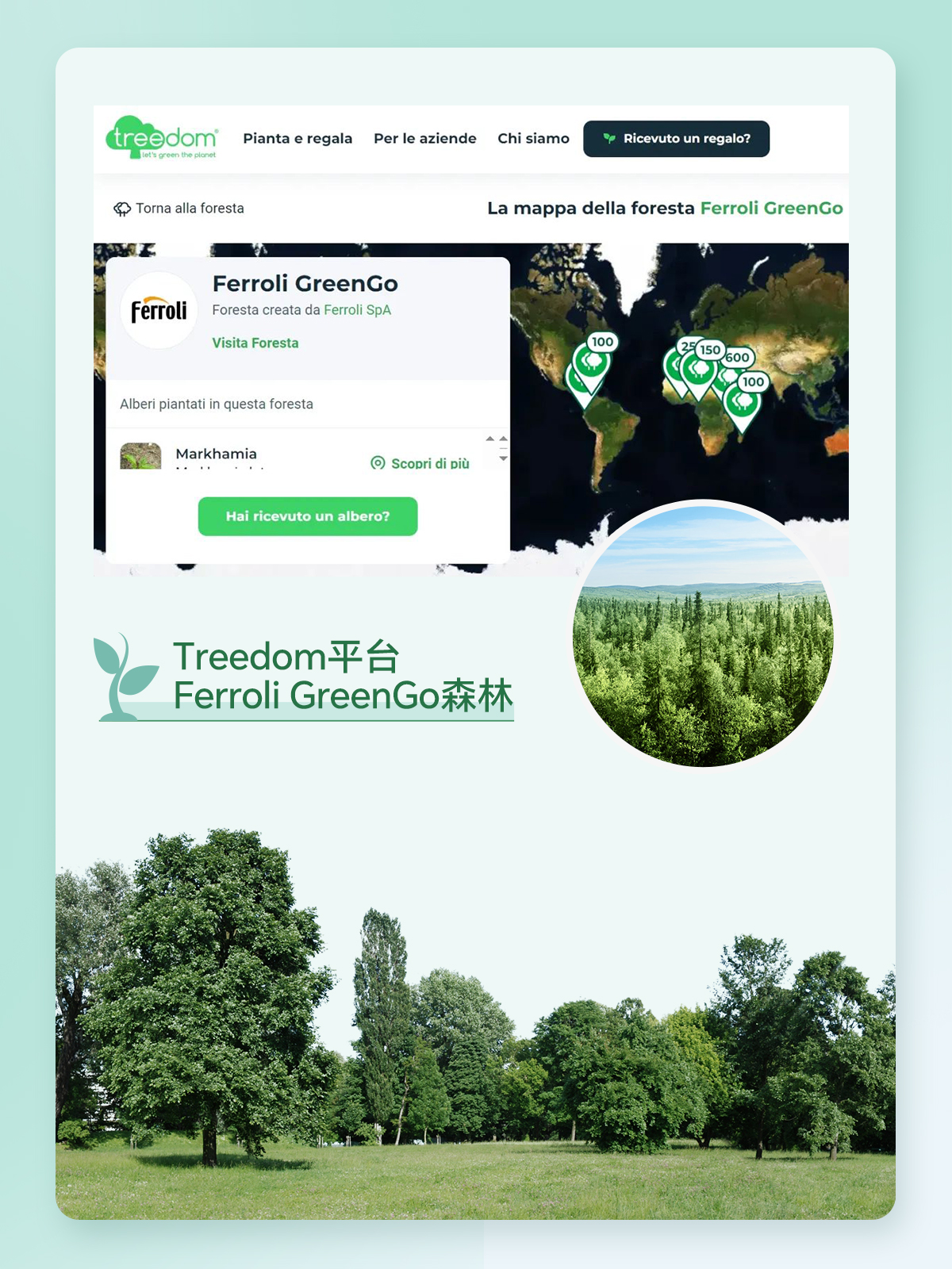 银娱优越会(中国)股份有限公司